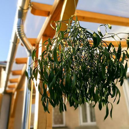 Fagyoengy Lägenhet Sárvár Exteriör bild